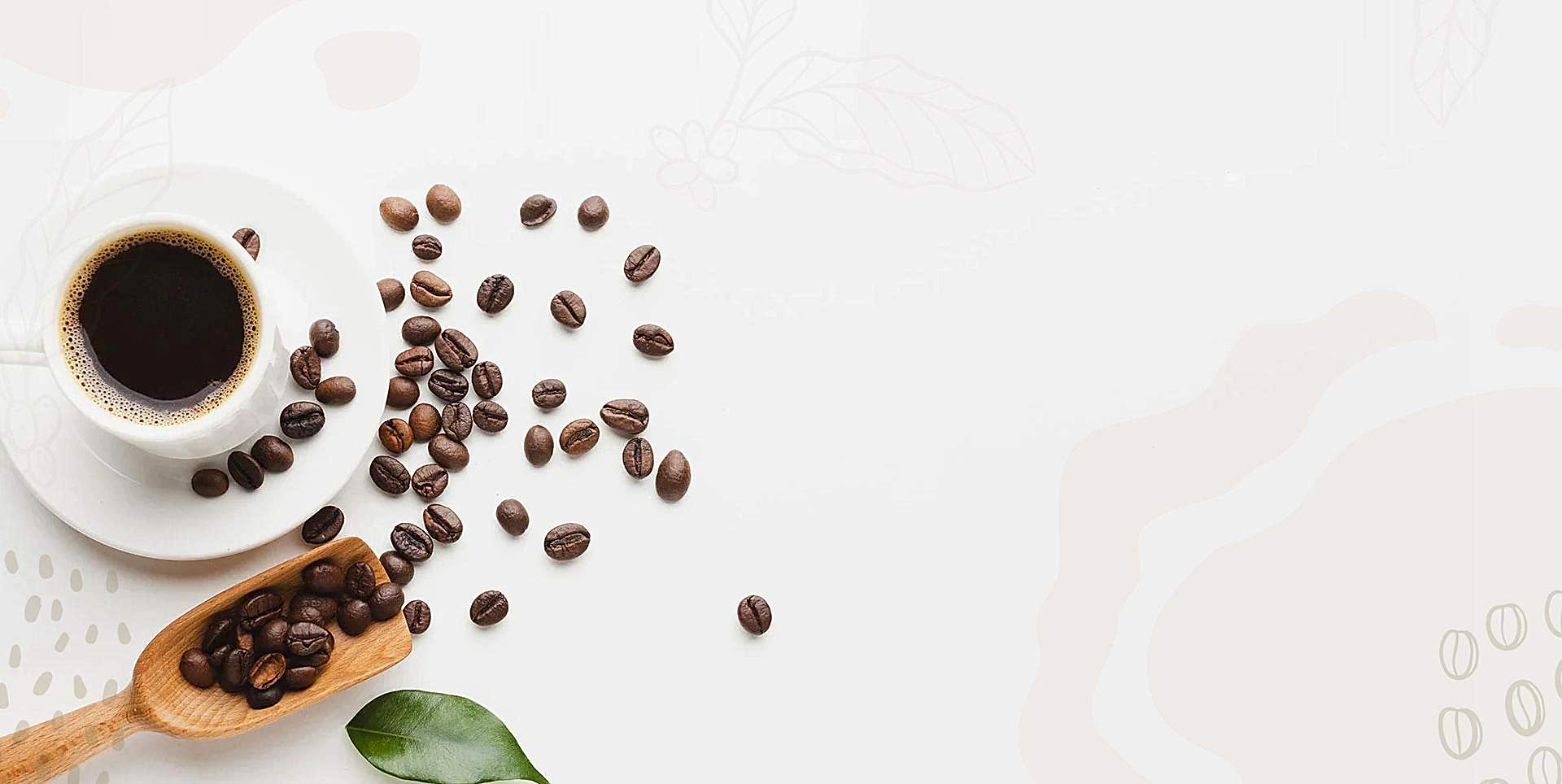 <h1>Relax and enjoy your coffee<br />
Enjoy it</h1>

<p>Caffe Fresco also roasts the coffee beans itself, allowing you to drink fresh coffee.</p>
